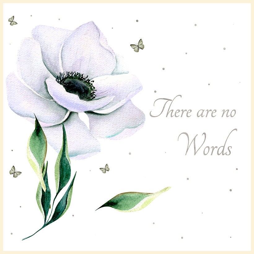 Blossom - Keine Worte