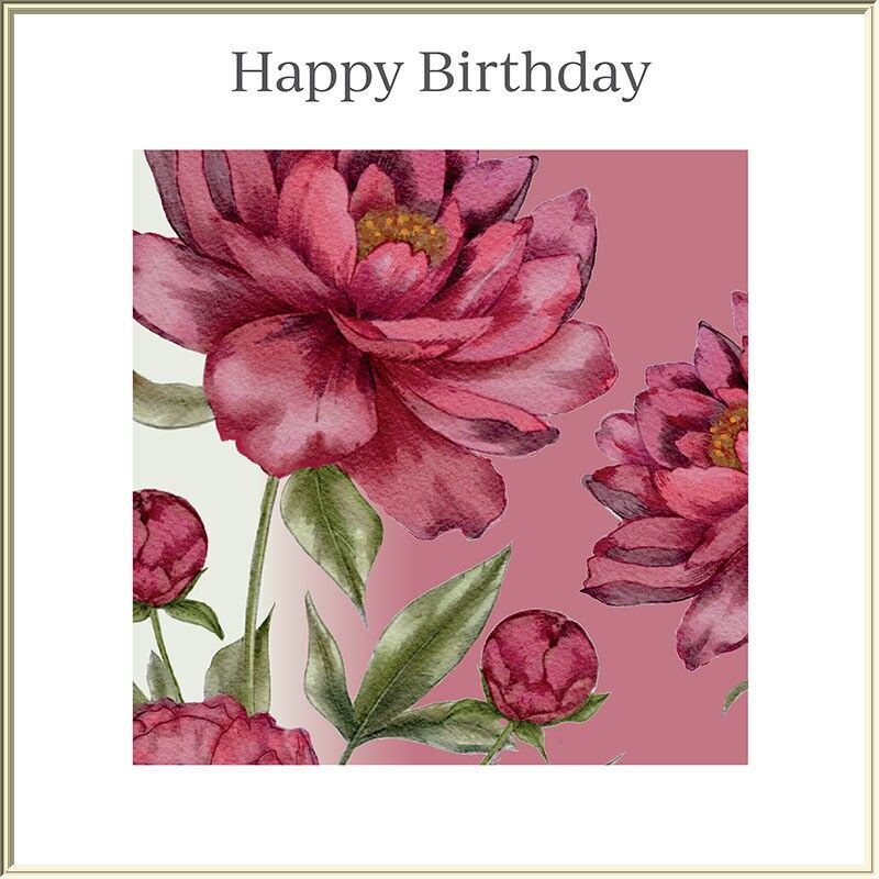 Rote Pfingstrose - Alles Gute zum Geburtstag