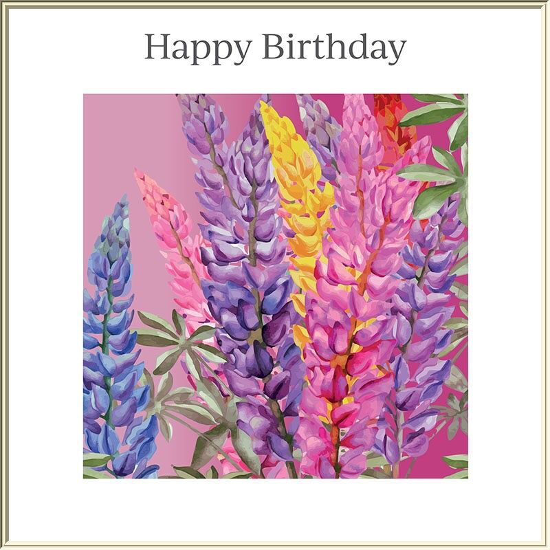 Lupinensammlung - Happy Birthday