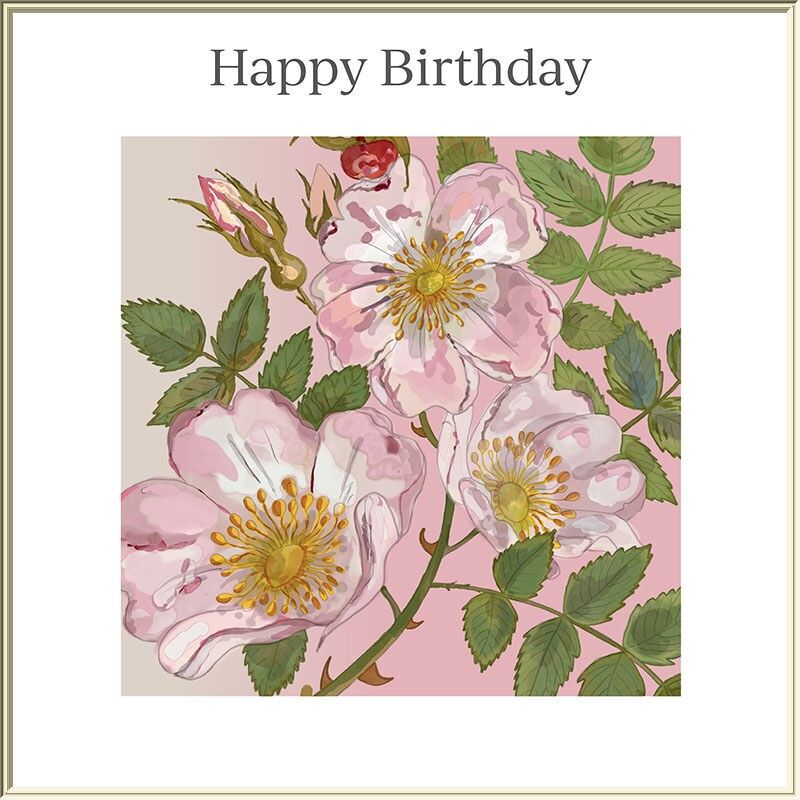 Wilde Rose - Alles Gute zum Geburtstag