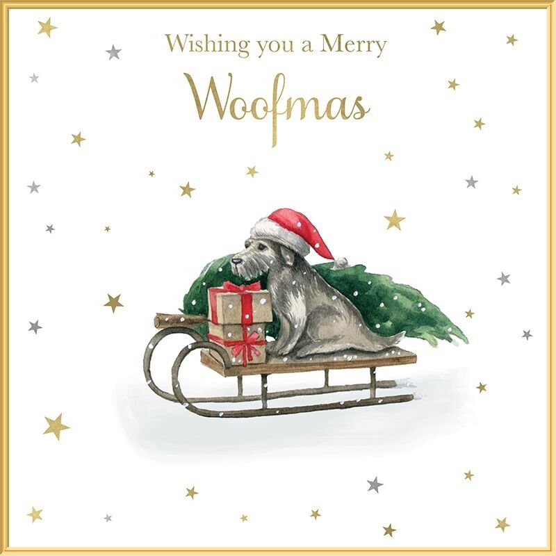 Twinkle - Natale Woofmas