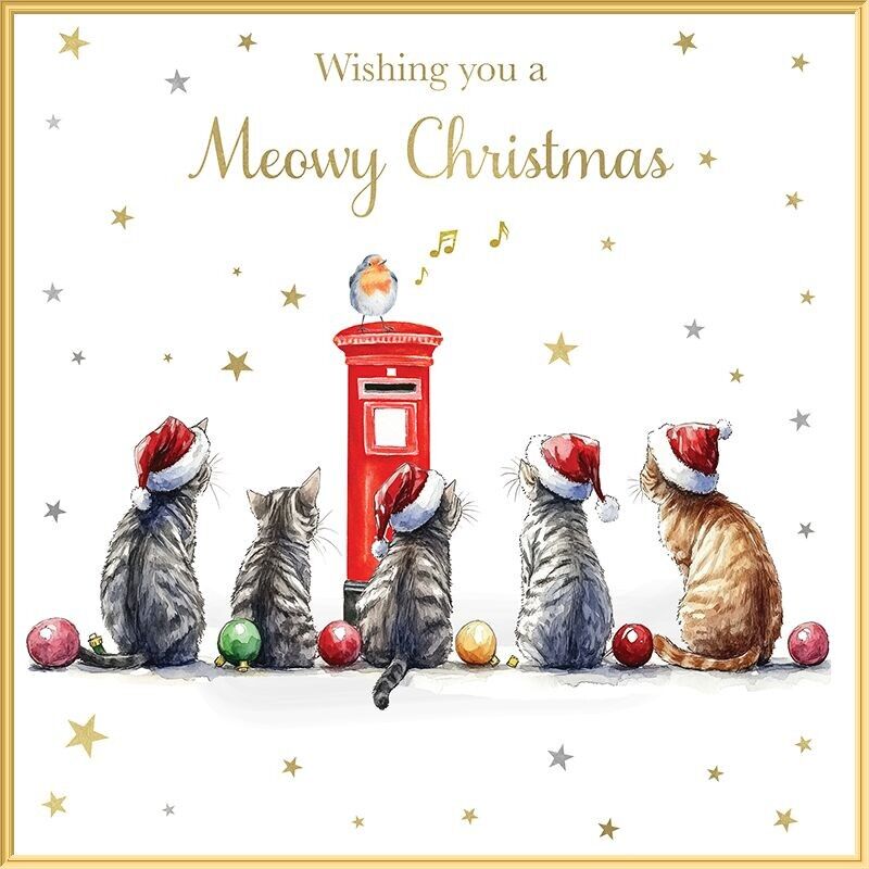 Twinkle - Miagola Natale