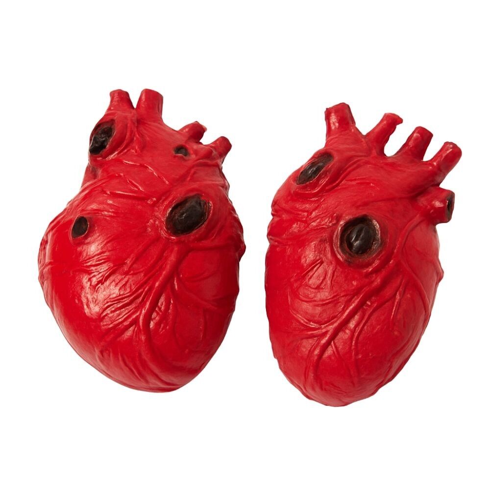 Lot de 2 Faux Cœurs Rouges 15cm Ensanglantés en Plastique Réaliste Décoration Halloween