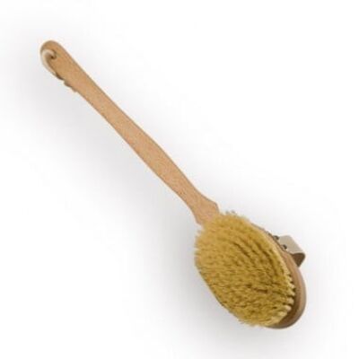 Bath Brush Cactus