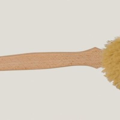 Brosse de bain