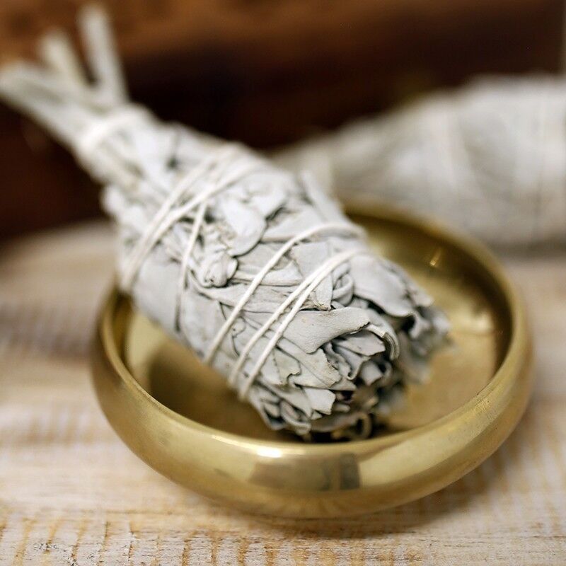 Weißer Salbei – Reinigende Fackel