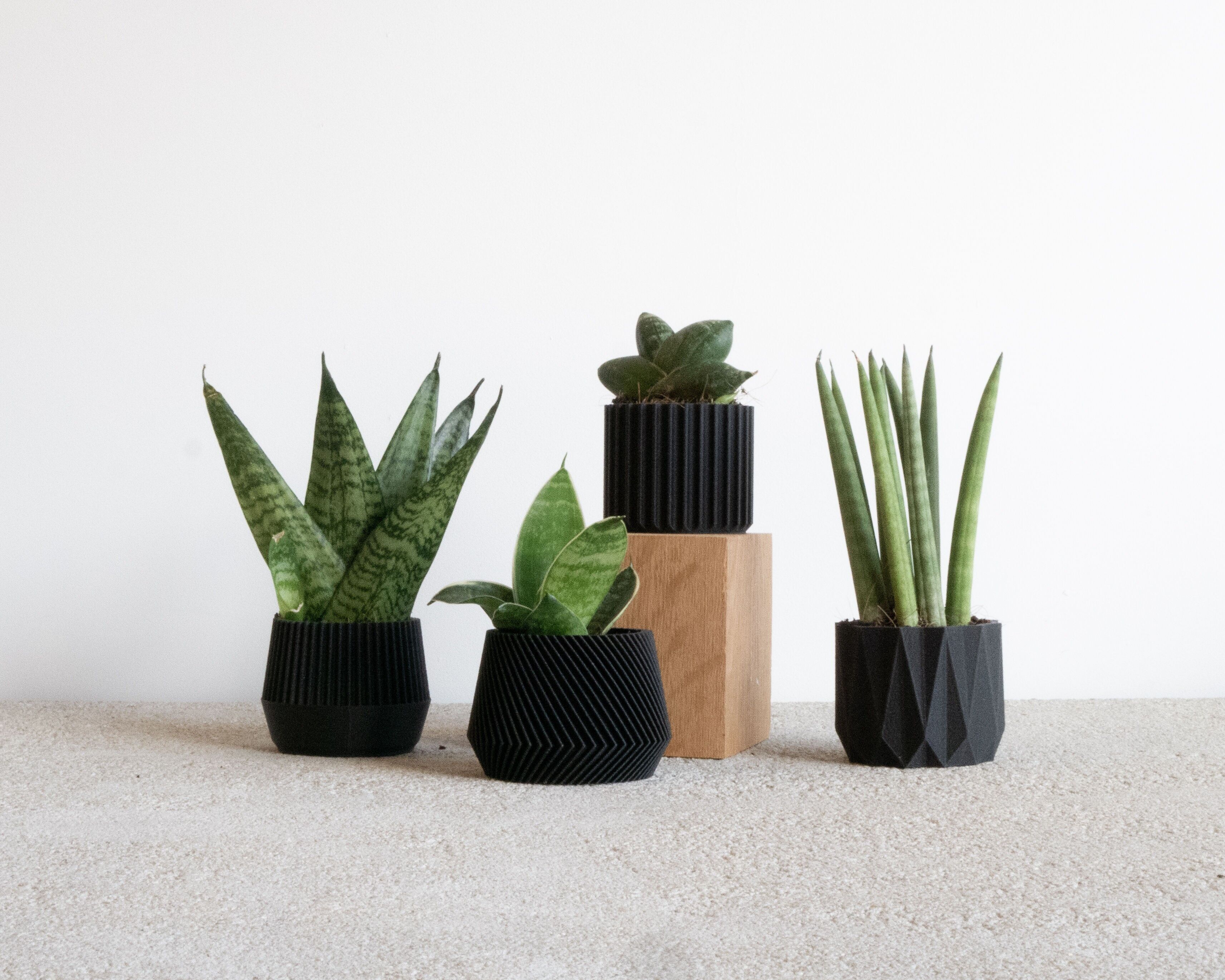 Ensemble de 4 petits pots - parfait pour les plantes vertes
