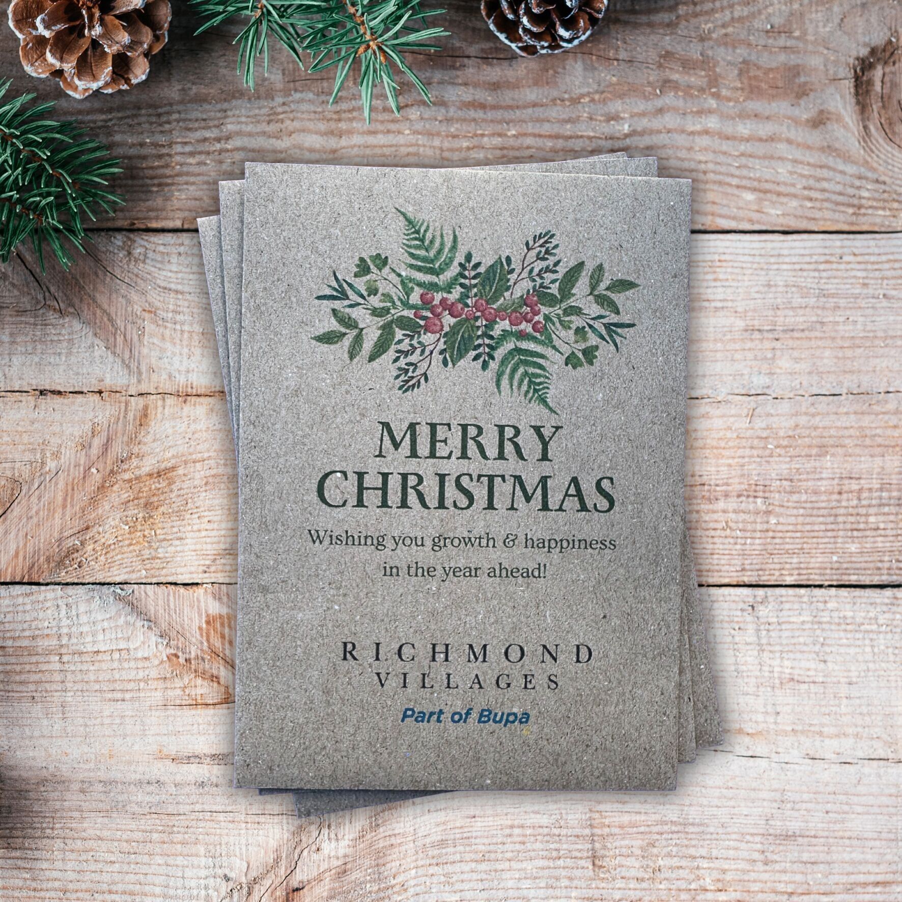 Bustine di semi natalizi personalizzati - kraft o bianche (89 mm x 124 mm)