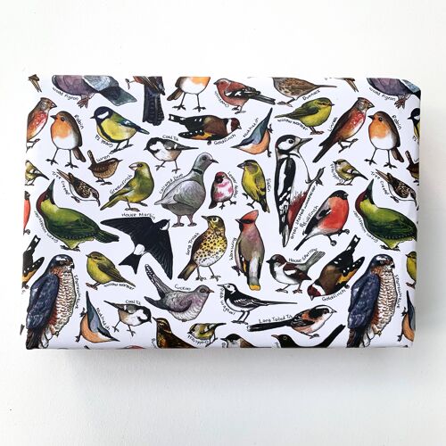 Garden Birds of Britain wrapping paper Sheets