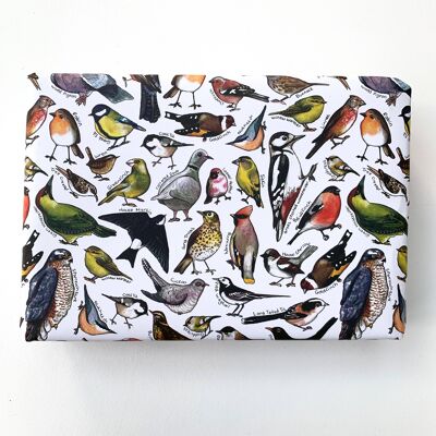 Fogli di carta da regalo Garden Birds of Britain