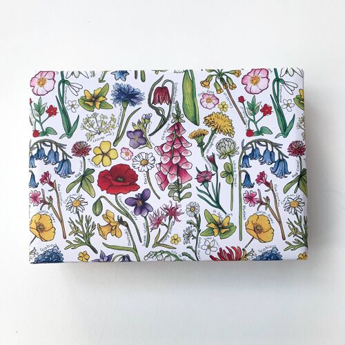 Wildflowers of Britain wrapping paper Sheets