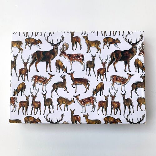 Deer of Britain wrapping paper Sheets