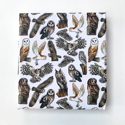 Owls of Britain wrapping paper Sheets