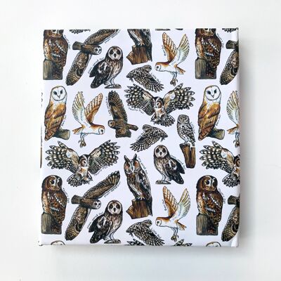 Fogli di carta da regalo Owls of Britain