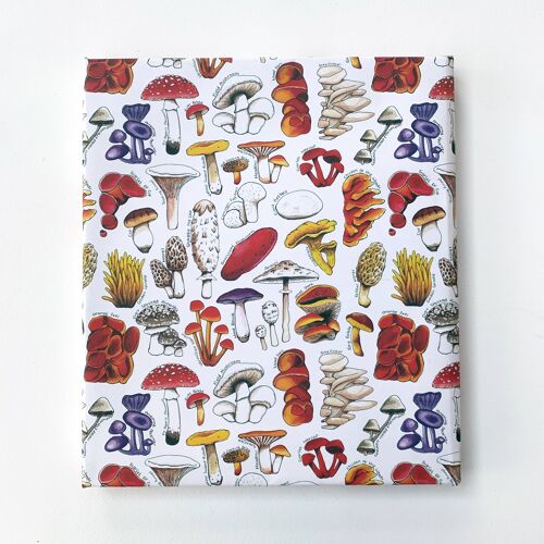 Mushrooms of Britain wrapping paper Sheets