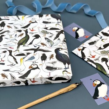 Feuilles de papier cadeau Coastal Birds of Britain 4