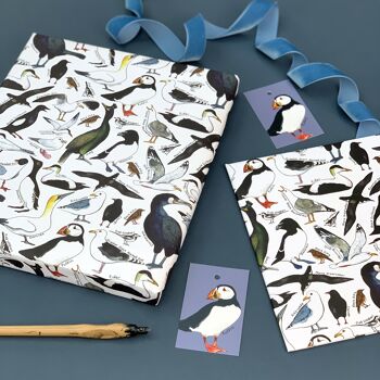 Feuilles de papier cadeau Coastal Birds of Britain 5
