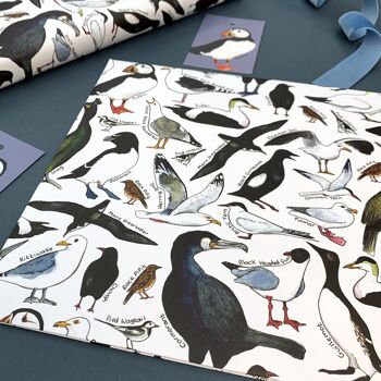 Feuilles de papier cadeau Coastal Birds of Britain 6