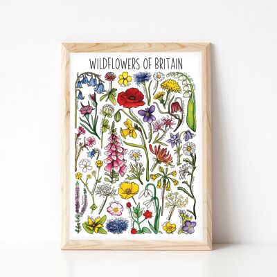 Wildblumen von Großbritannien Kunstdruck – A4-Format