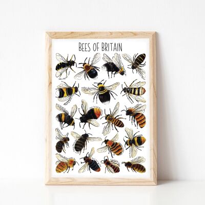 Stampa artistica delle api della Gran Bretagna - formato A4