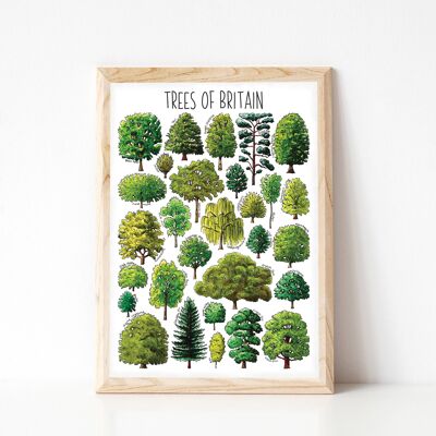 Trees  of Britain Art Print - A4 print