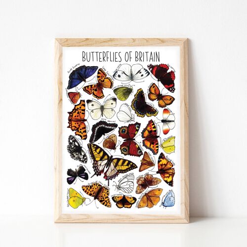Butterflies  of Britain Art Print - A4 sized