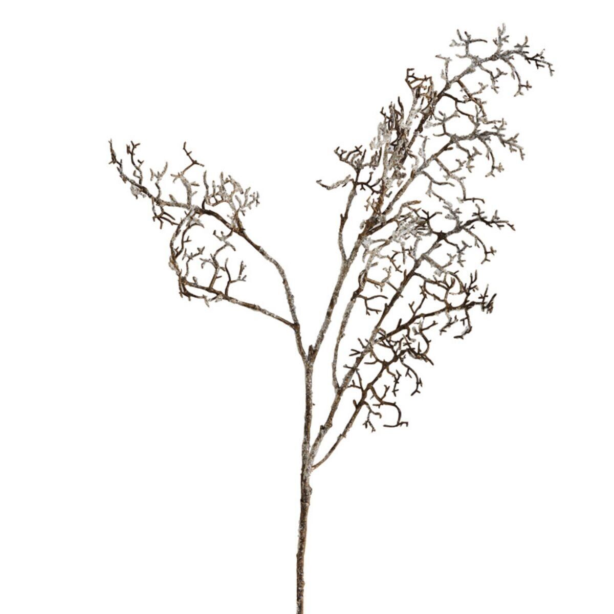 Dried Pine Branch Christmas