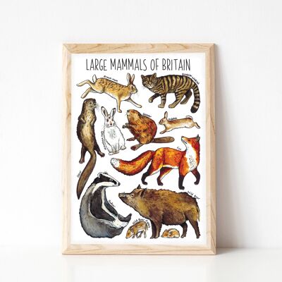 Stampa artistica di grandi mammiferi della Gran Bretagna - stampa in formato A4
