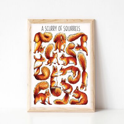 A Scurry of Squirrels Art Print - A4 sized print