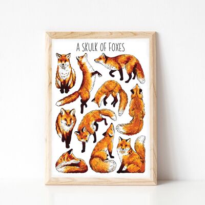 A Skulk of Foxes Art Print - A4 sized print