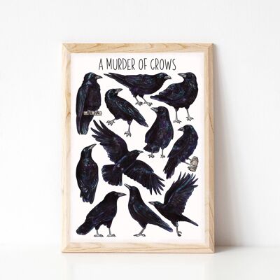 Impresión de arte A Murder of Crows - impresión de tamaño A4