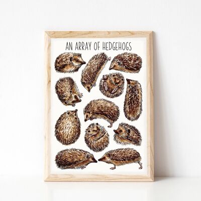 An Array of Hedgehogs Art Print - A4 sized print