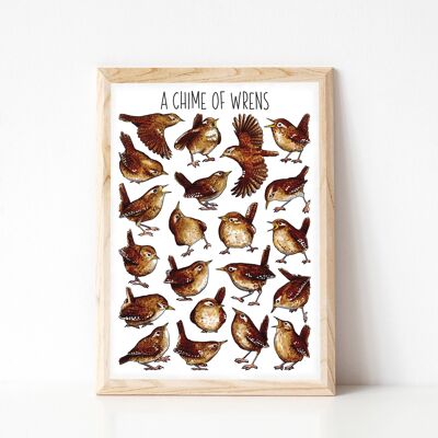 A Chime of Wrens Art Print - A4 sized print