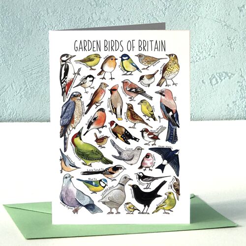 Garden Birds of Britain Art Blank Greeting Card