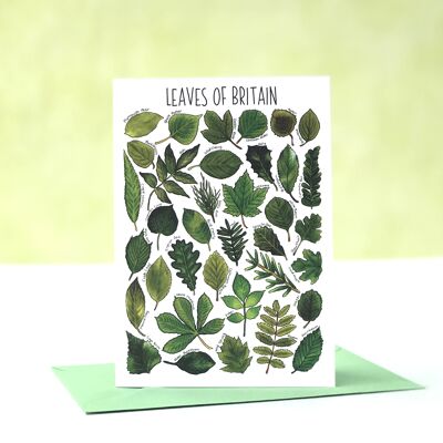 Leaves of Britain Art Blank Greeting Card