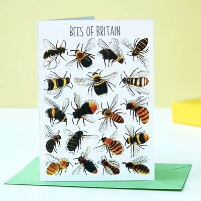 Bees of Britain Art Blank Greeting Card