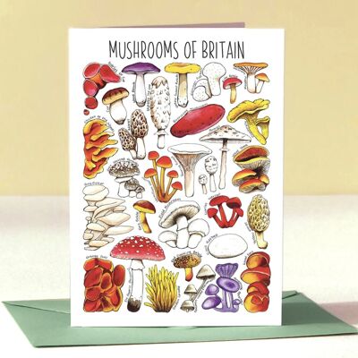 Biglietto d'auguri vuoto con funghi della Gran Bretagna