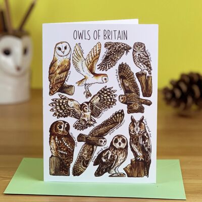 Owls of Britain Art Tarjetas de felicitación en blanco
