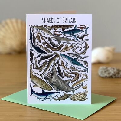 Sharks of Britain Art Tarjeta de felicitación en blanco