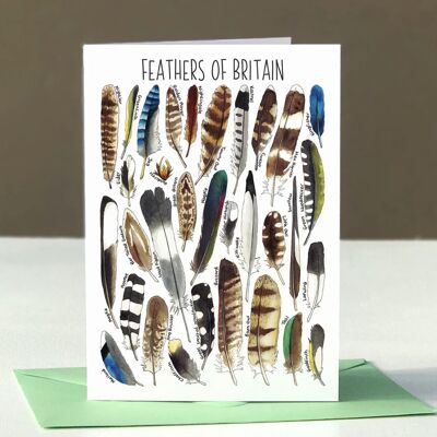 Feathers of Britain Art Blank Greeting Card