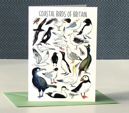 Coastal Birds of Britain Art Blank Greeting Card