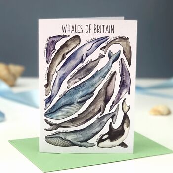 Carte de voeux vierge d'art de baleines de Grande-Bretagne 1