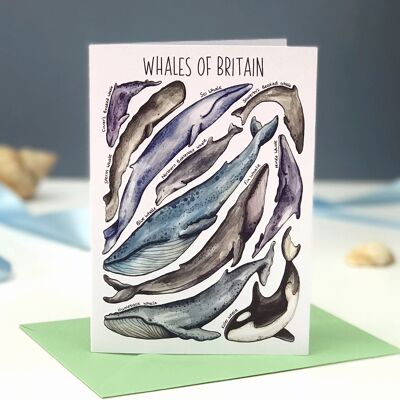 Whales of Britain Art Blank Greeting Card