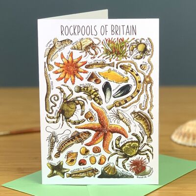 Rockpools of Britain Art Blank Greeting Card