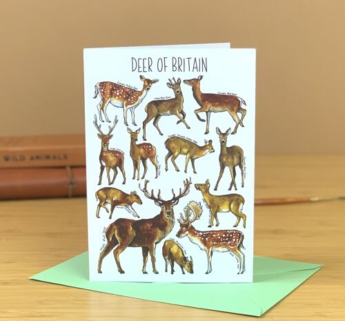 Deer of Britain Art Blank Greeting Card
