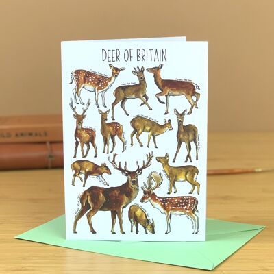 Deer of Britain Art Tarjeta de felicitación en blanco