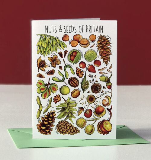 Nuts & Seeds of Britain Art Blank Greeting Card