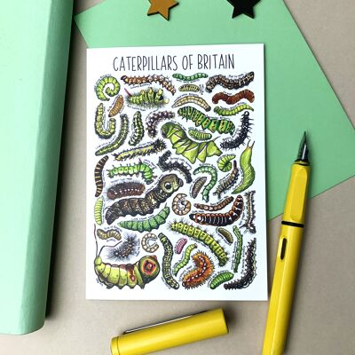Caterpillars of Britain Art Biglietto d'auguri vuoto