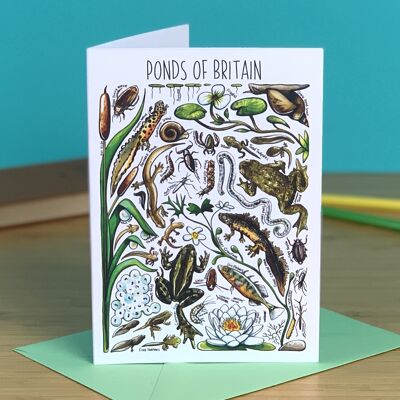 Pond Life of Britain Art Blank Greeting Card