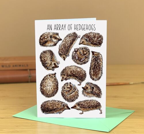 An Array of Hedgehogs Art Blank Greeting Card